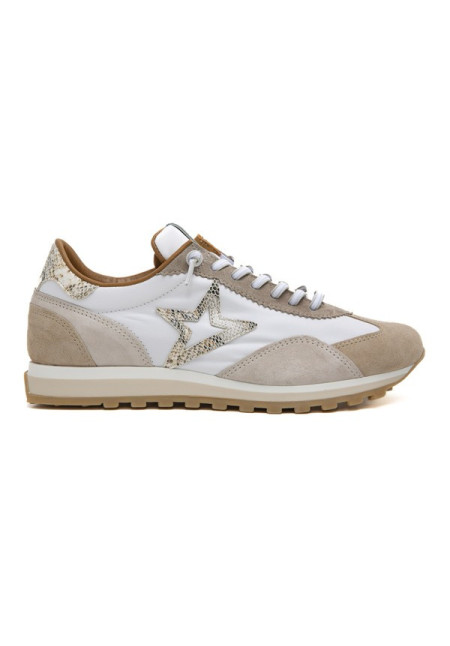 CETTI 1259