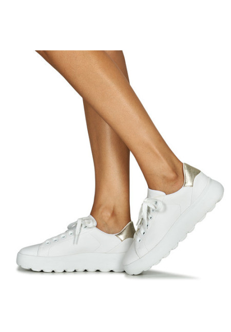 SNEAKERS CETTI 