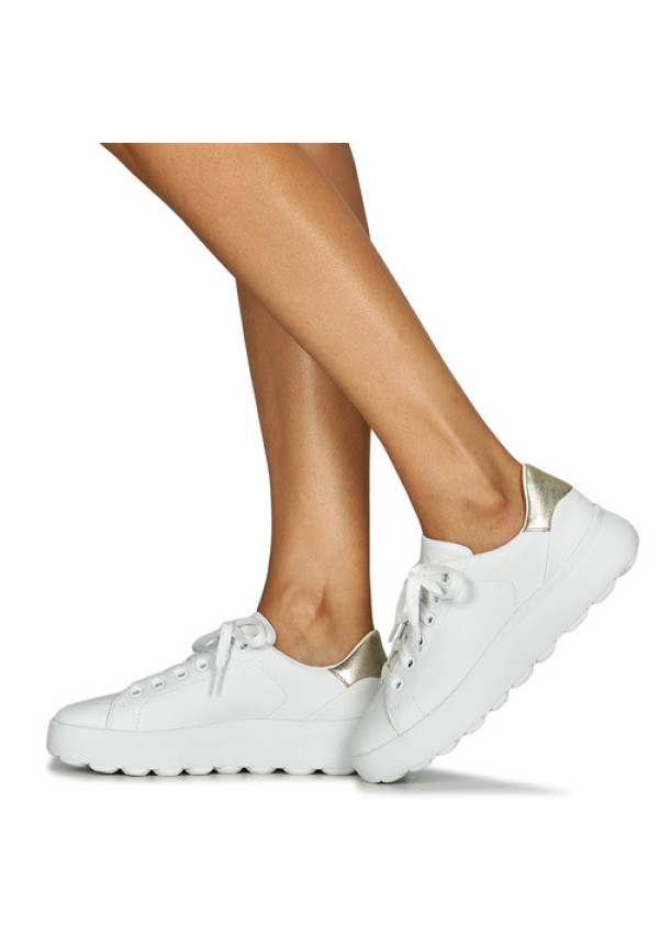 SNEAKERS CETTI 