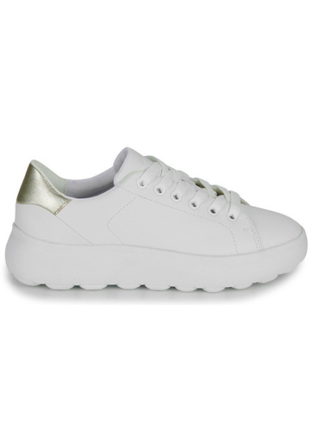 SNEAKERS CETTI 