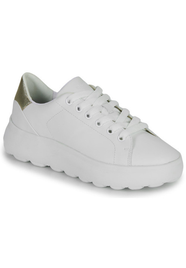 SNEAKERS CETTI 